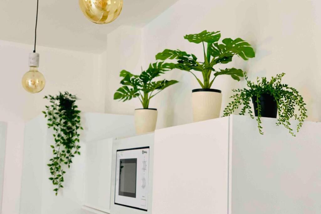 Roof Luxury Center By Namaste Elite Apartment